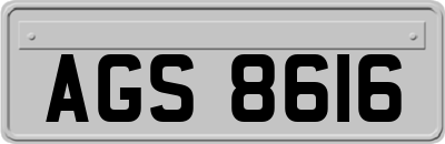 AGS8616