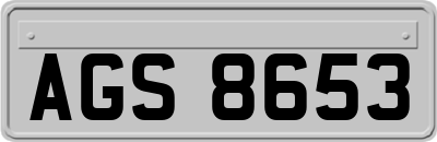AGS8653