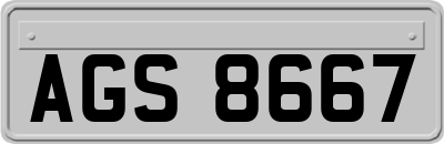 AGS8667