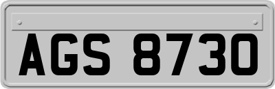 AGS8730