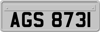 AGS8731