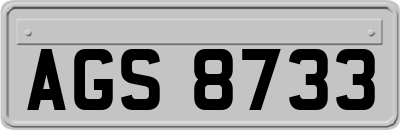 AGS8733