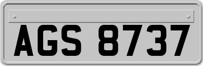 AGS8737