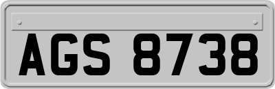 AGS8738