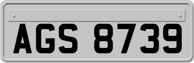 AGS8739