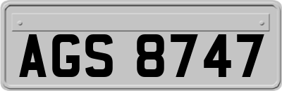 AGS8747