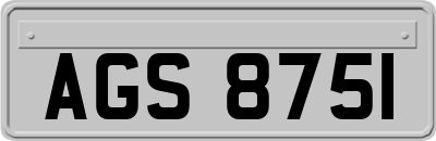 AGS8751
