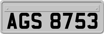 AGS8753
