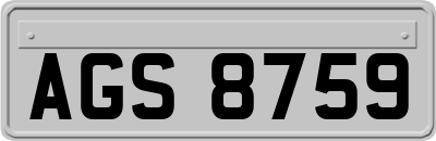 AGS8759