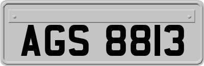 AGS8813
