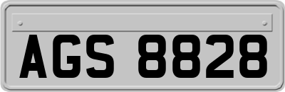 AGS8828