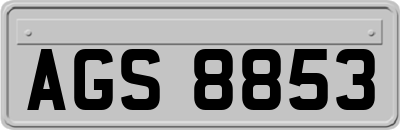 AGS8853