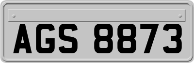 AGS8873
