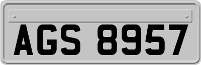 AGS8957