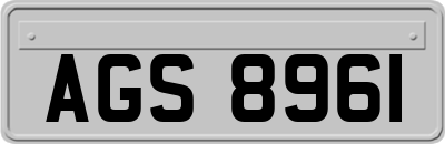 AGS8961