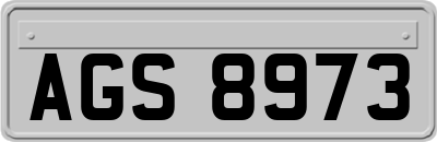 AGS8973