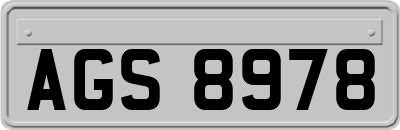 AGS8978