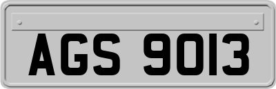 AGS9013