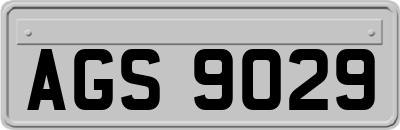 AGS9029