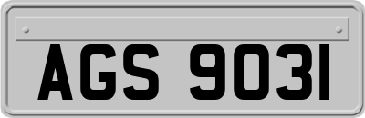 AGS9031