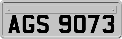 AGS9073