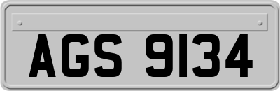 AGS9134