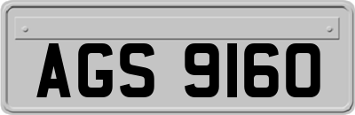 AGS9160
