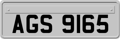 AGS9165