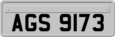 AGS9173