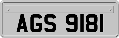 AGS9181