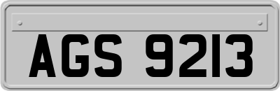 AGS9213