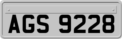 AGS9228