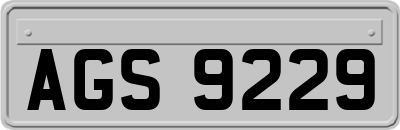AGS9229