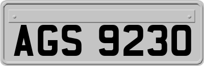 AGS9230