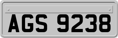 AGS9238