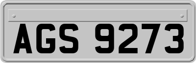 AGS9273