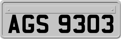 AGS9303