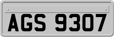 AGS9307
