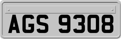 AGS9308