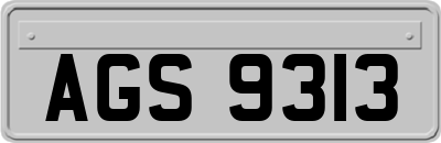 AGS9313