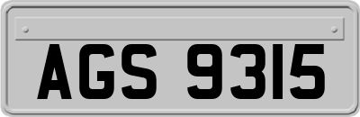 AGS9315