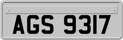 AGS9317