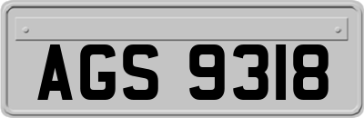 AGS9318