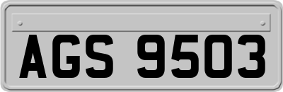 AGS9503