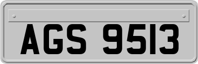 AGS9513