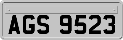 AGS9523
