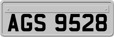 AGS9528