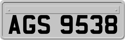 AGS9538