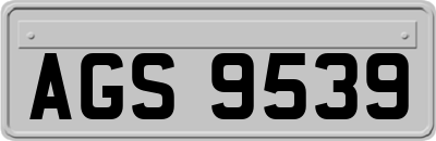 AGS9539