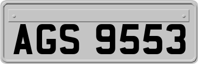 AGS9553